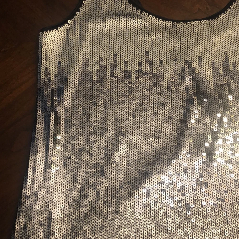 Silver Sequined Slip Dress by Express - Picture 13 of 15